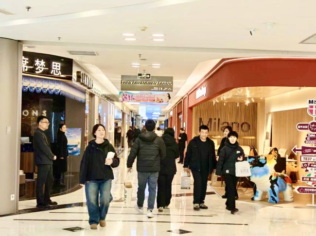 1773737335-b173667701e0835